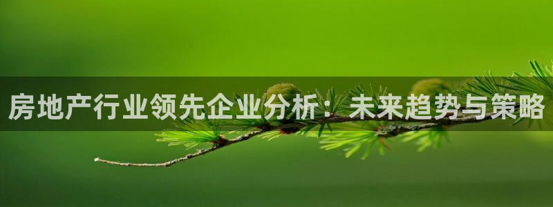 和记备用官网：房地产行业领先企业分析：未来趋势与策略