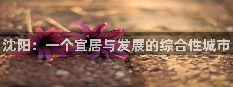 和记官网进入：沈阳：一个宜居与发展的综合性城市