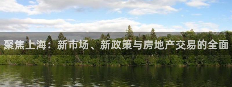 和记黄埔官网教育：聚焦上海：新市场、新政策与房地产交易的全面