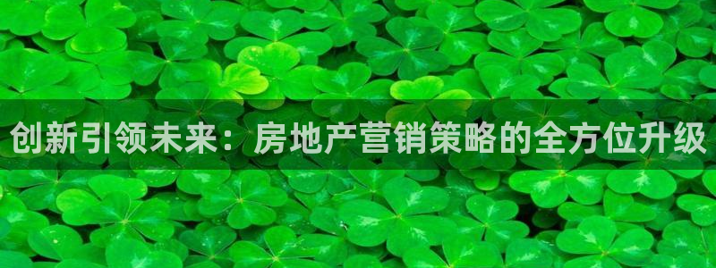 和记安徽快3官网开户：创新引领未来：房地产营销策略的全方位升