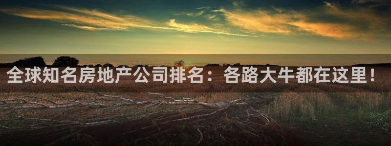 和记娱乐app官网：全球知名房地产公司排名：各路大牛都在这里