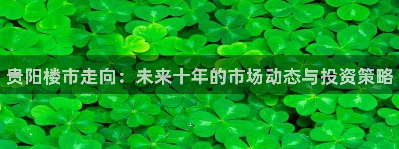 和记隆官网：贵阳楼市走向：未来十年的市场动态与投资策略