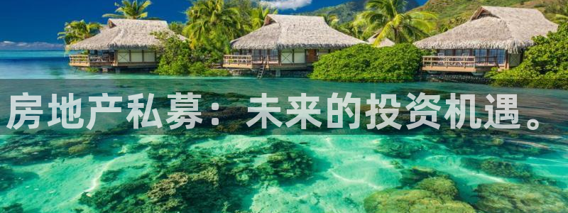 和记国际电讯官网：房地产私募：未来的投资机遇。