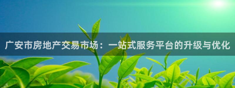 香港长江和记官网：广安市房地产交易市场：一站式服务平台的升级