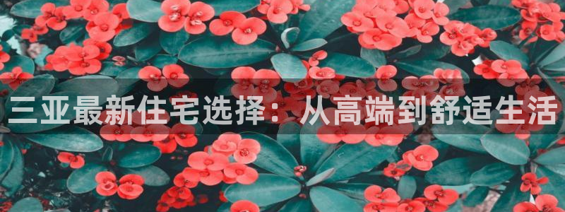 和记官网手机新版app下载：三亚最新住宅选择：从高端到舒适生