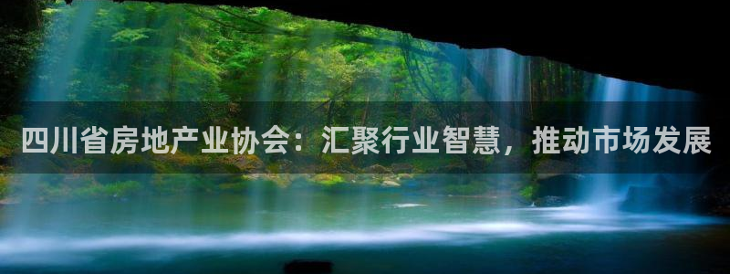 和记网开户官网：四川省房地产业协会：汇聚行业智慧，推动市场发