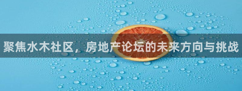 香港长江和记官网：聚焦水木社区，房地产论坛的未来方向与挑战