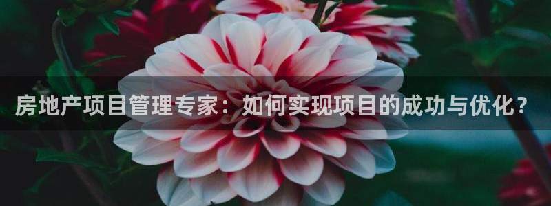 澳门和记客服官网：房地产项目管理专家：如何实现项目的成功与优