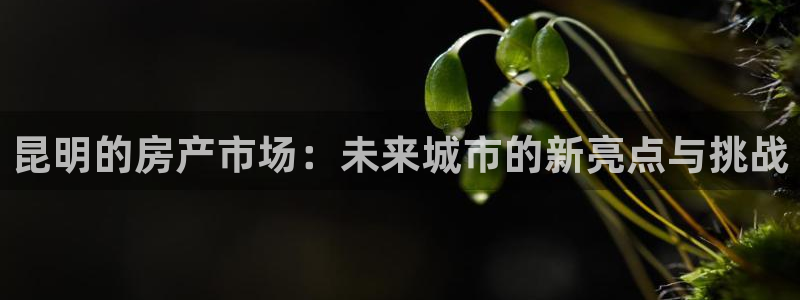 广州和德记官网：昆明的房产市场：未来城市的新亮点与挑战