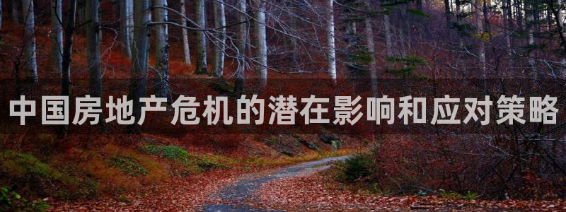 长江和记集团官网：中国房地产危机的潜在影响和应对策略