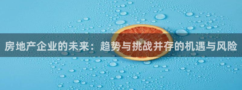 和记黄埔集团官网：房地产企业的未来：趋势与挑战并存的机遇与风