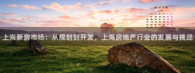和记娱精湛h88285官网：上海新房市场：从规划到开发，上海