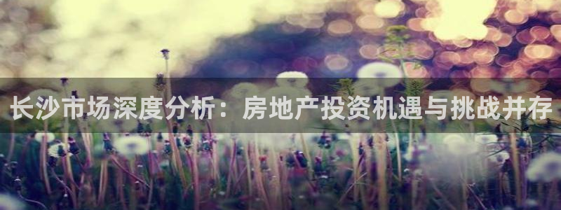 和记环球电讯官网：长沙市场深度分析：房地产投资机遇与挑战并存