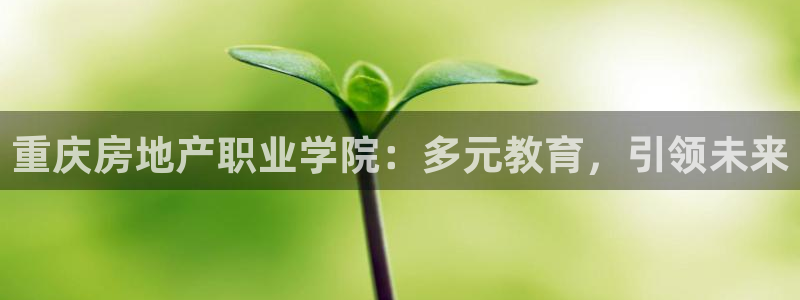 果博官网和记：重庆房地产职业学院：多元教育，引领未来