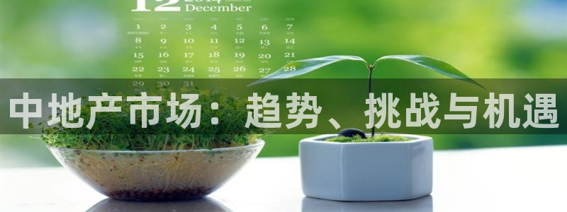 和记电讯官网：中地产市场：趋势、挑战与机遇