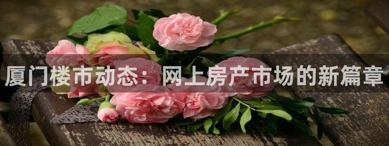 广州和记黄埔官网：厦门楼市动态：网上房产市场的新篇章