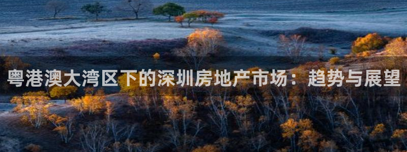 hgc和记官网：粤港澳大湾区下的深圳房地产市场：趋势与展望