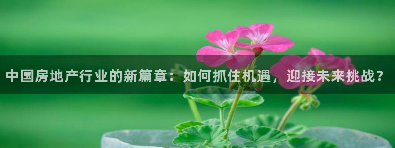 和记h188怡情官网：中国房地产行业的新篇章：如何抓住机遇，