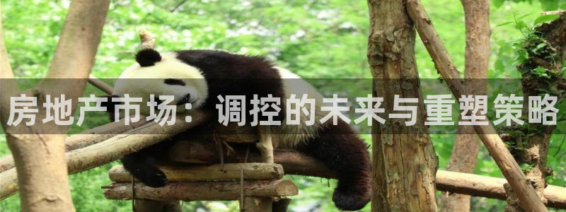 和记官网手机版：房地产市场：调控的未来与重塑策略