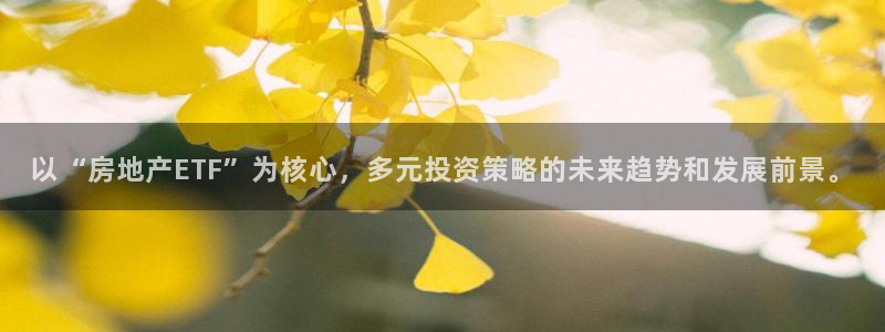 武汉和记黄埔官网：以“房地产ETF”为核心，多元投资策略的未