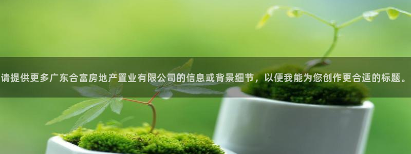 和记电信官网：请提供更多广东合富房地产置业有限公司的信息或背