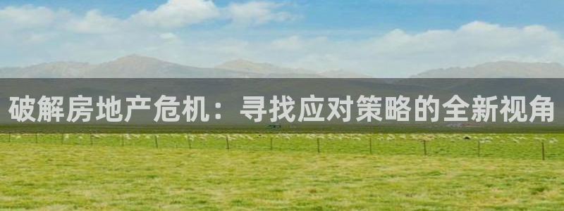 和记娱乐旗舰官网：破解房地产危机：寻找应对策略的全新视角