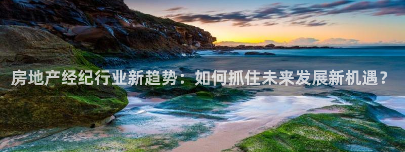 和记娱乐唯一官网：房地产经纪行业新趋势：如何抓住未来发展新机